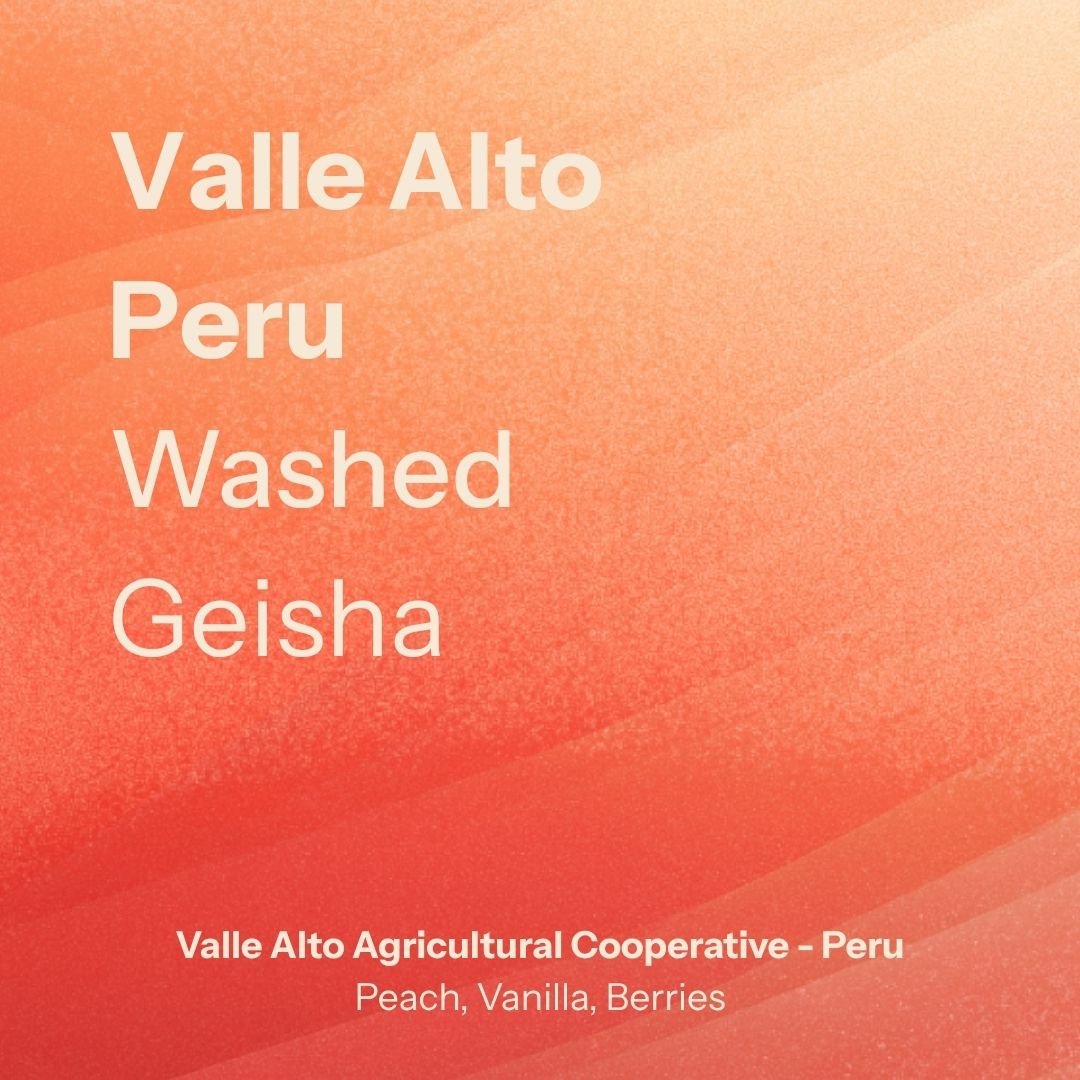 Valle Alto Geisha - Agricultural Cooperative (Peru)