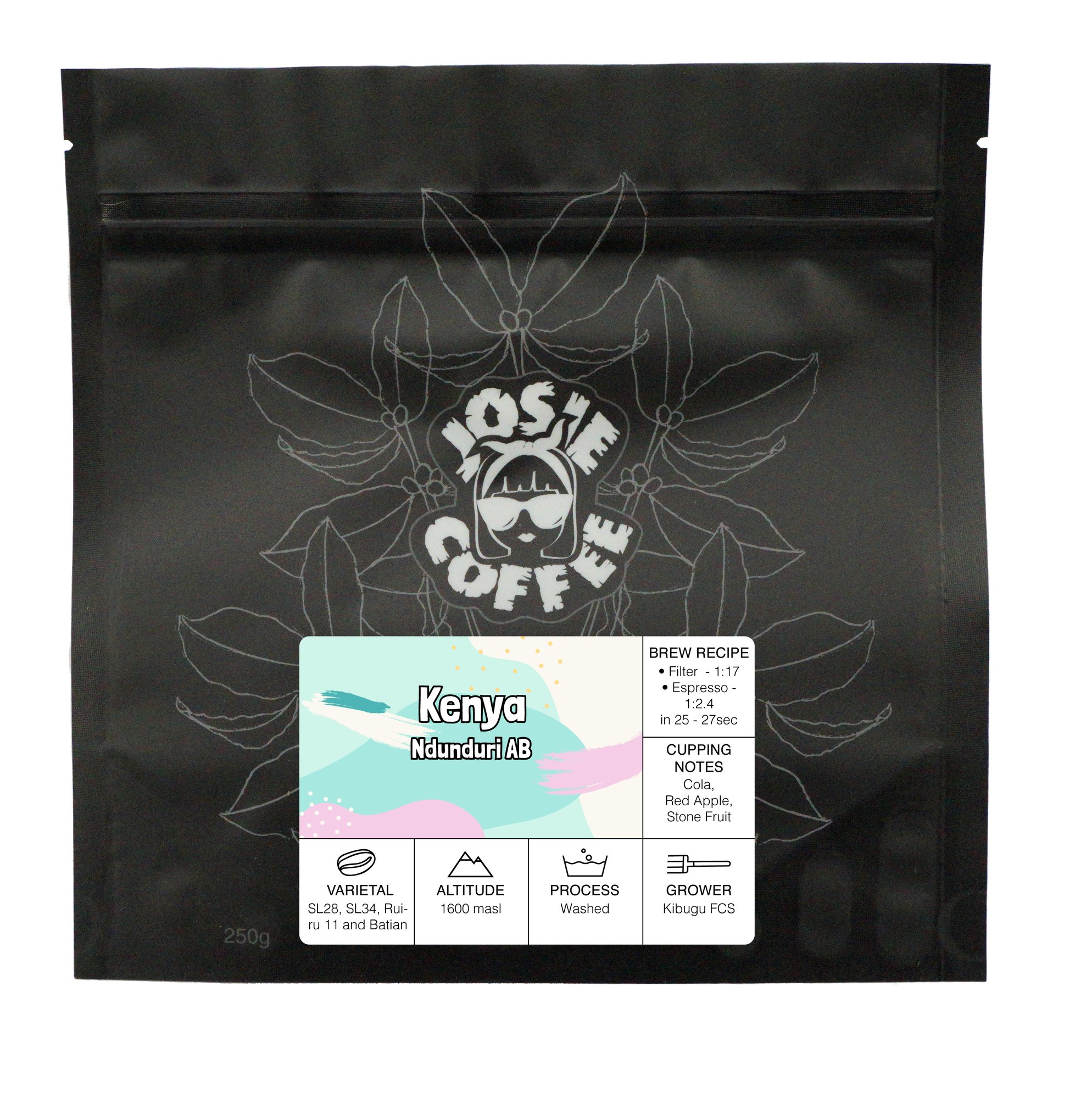 Kenya - Ndunduri AB - Washed Process