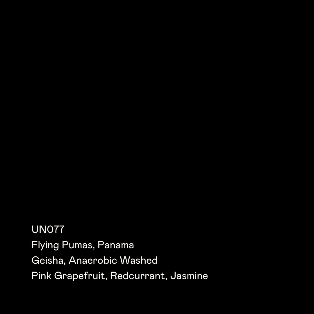 UN077 - Flying Pumas, Anaerobic Washed Geisha