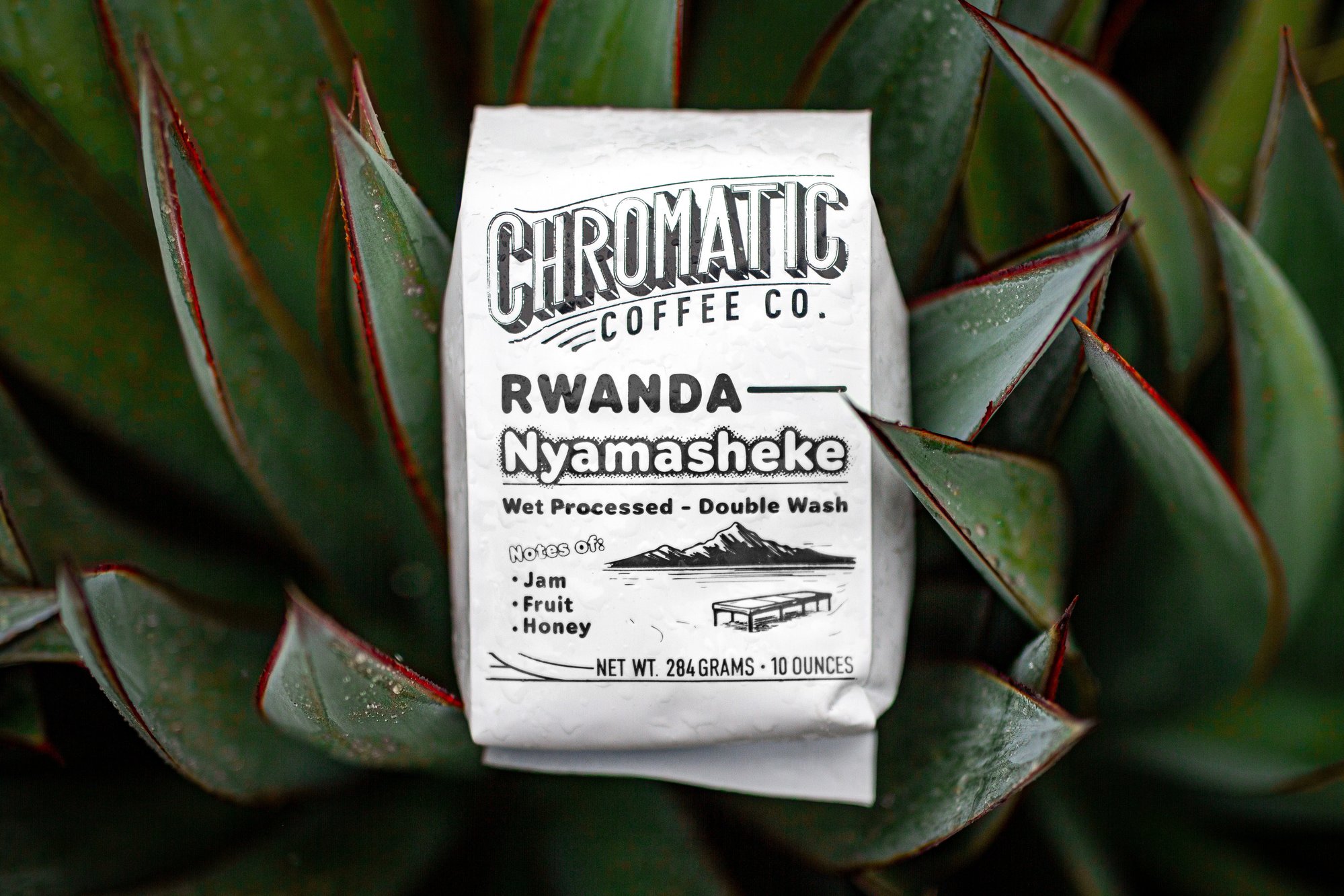 Nyamasheke Wet
