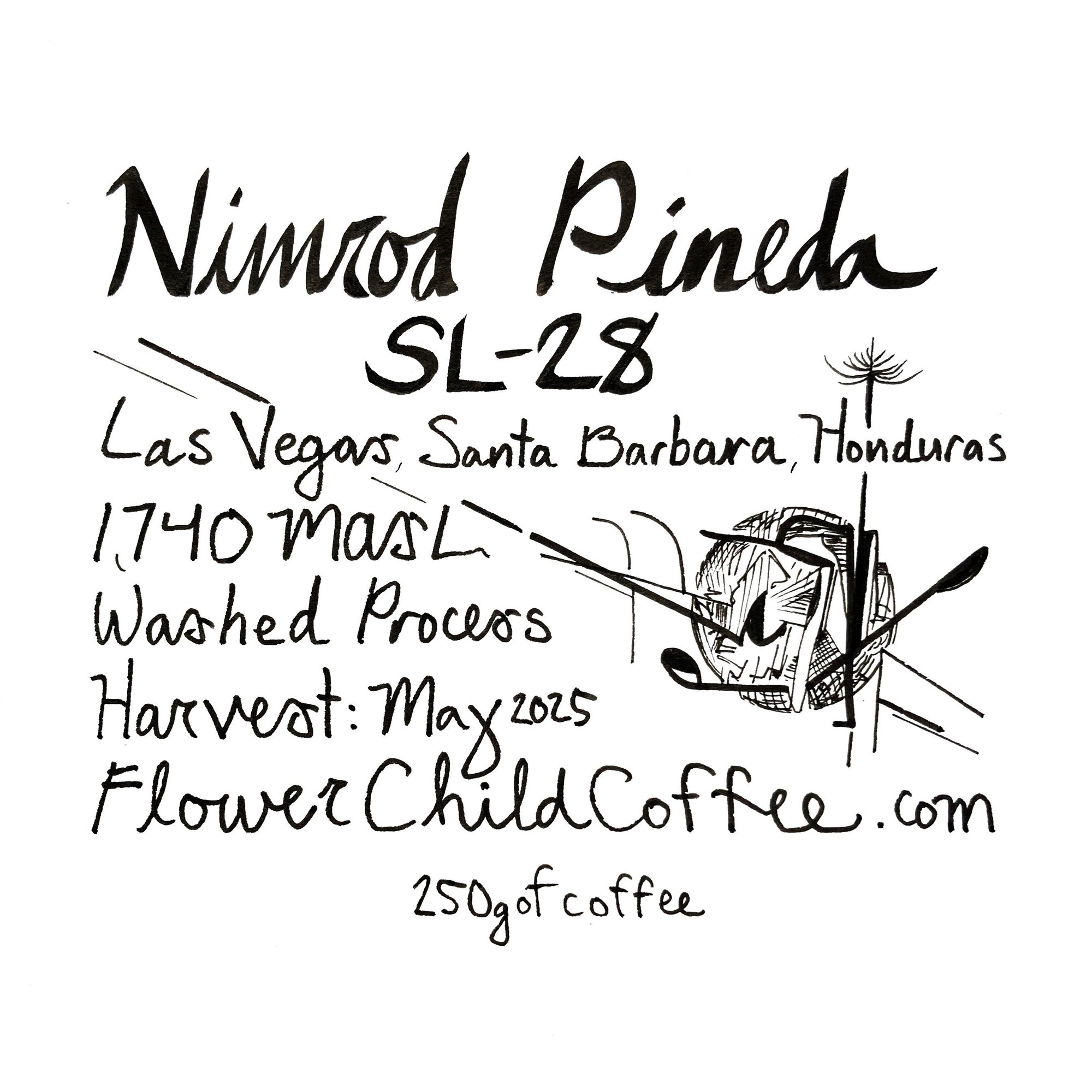 Nimrod Pineda