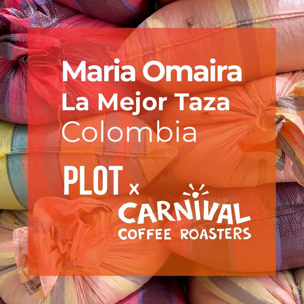 MARIA OMAIRA, Washed Gesha