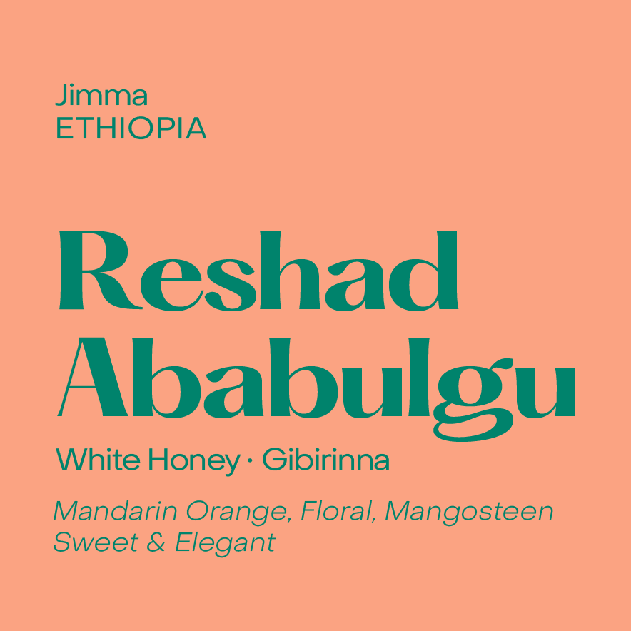 Ethiopia Reshad Ababulgu White Honey Gibirinna