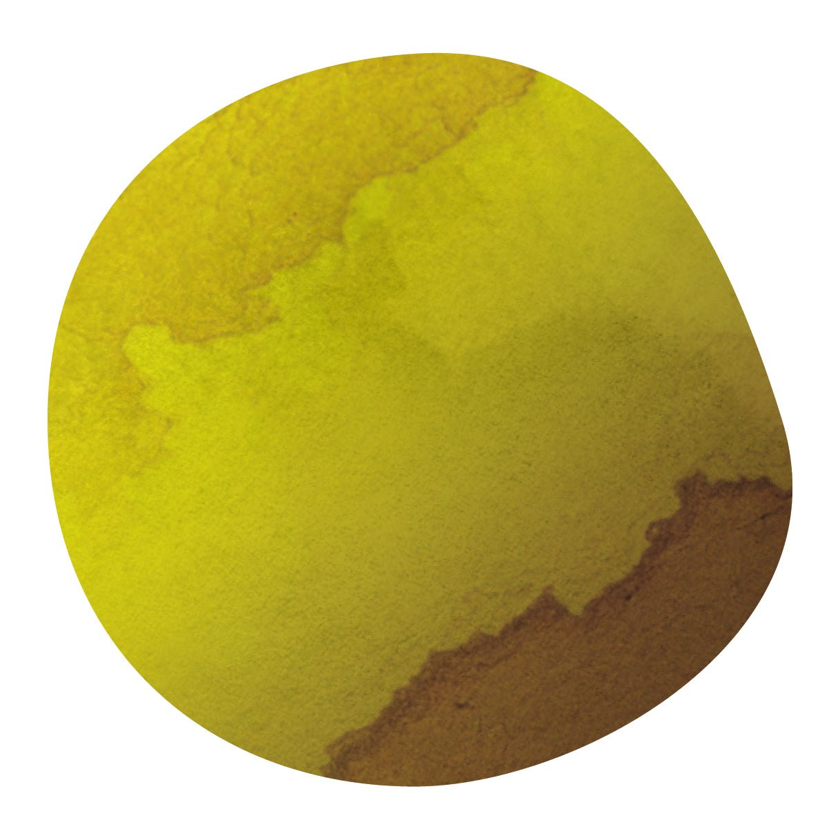 【NEW】HONORIO QUISPE -Bourbon & Geisha- / Peru
