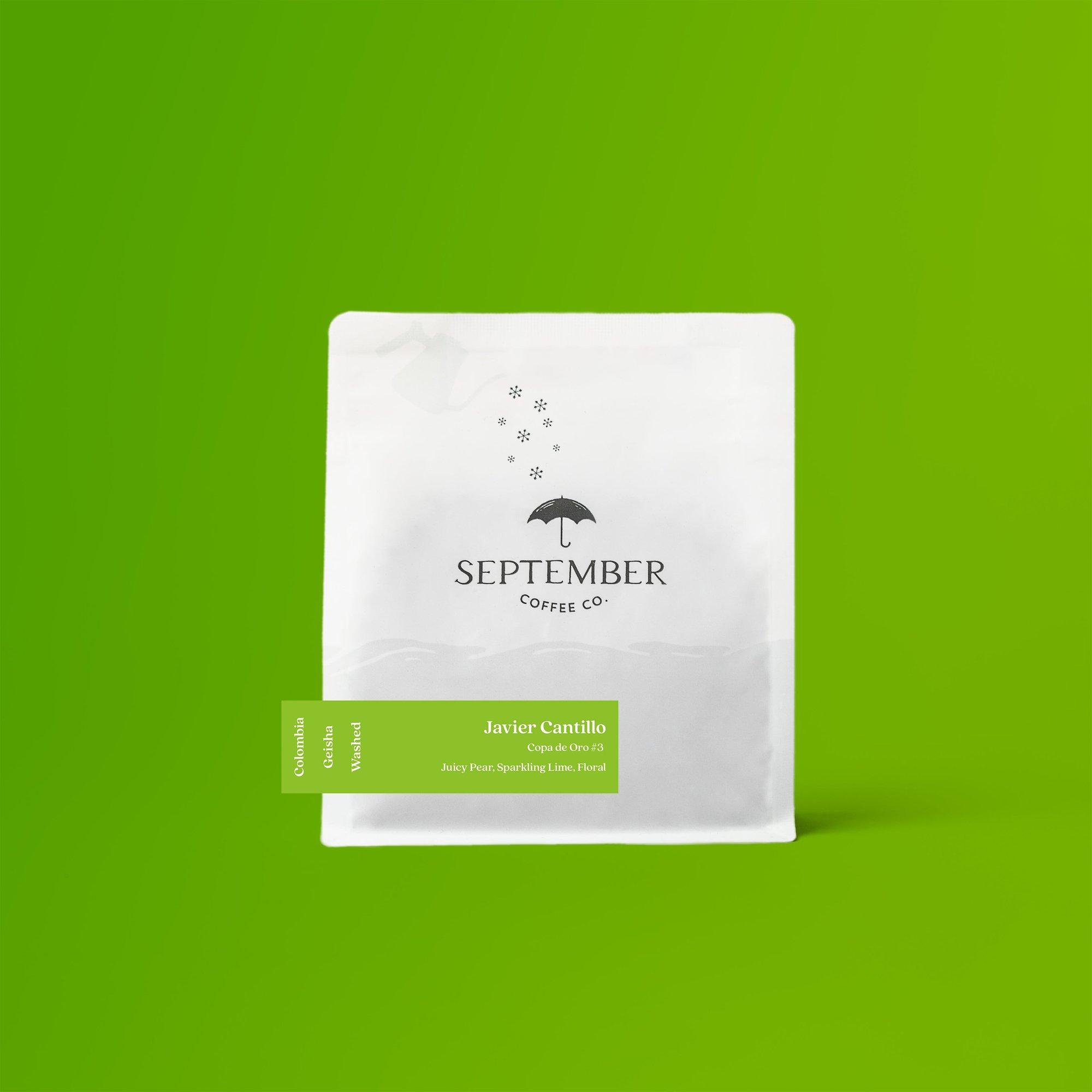 Javier Cantillo - Colombia Washed Geisha (Extra-light)