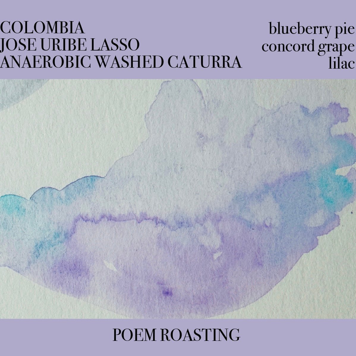 Colombia Jose Uribe Lasso Anaerobic Washed Caturra