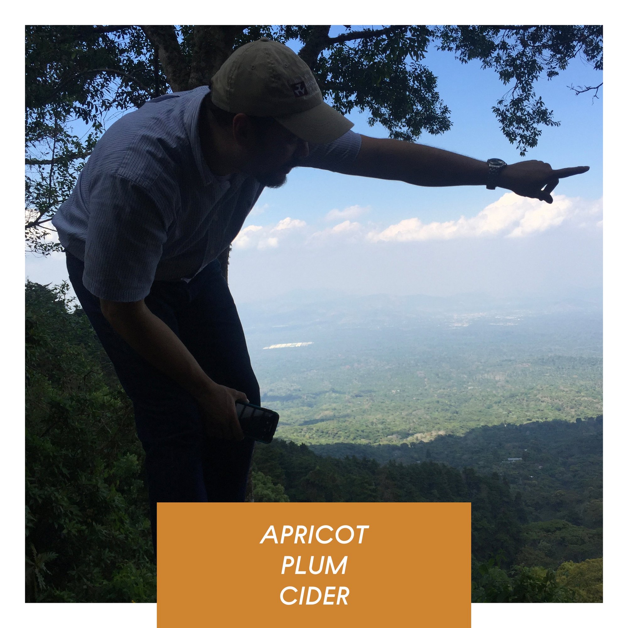 Las Brumas, WFC, Washed Pacamara, El Salvador