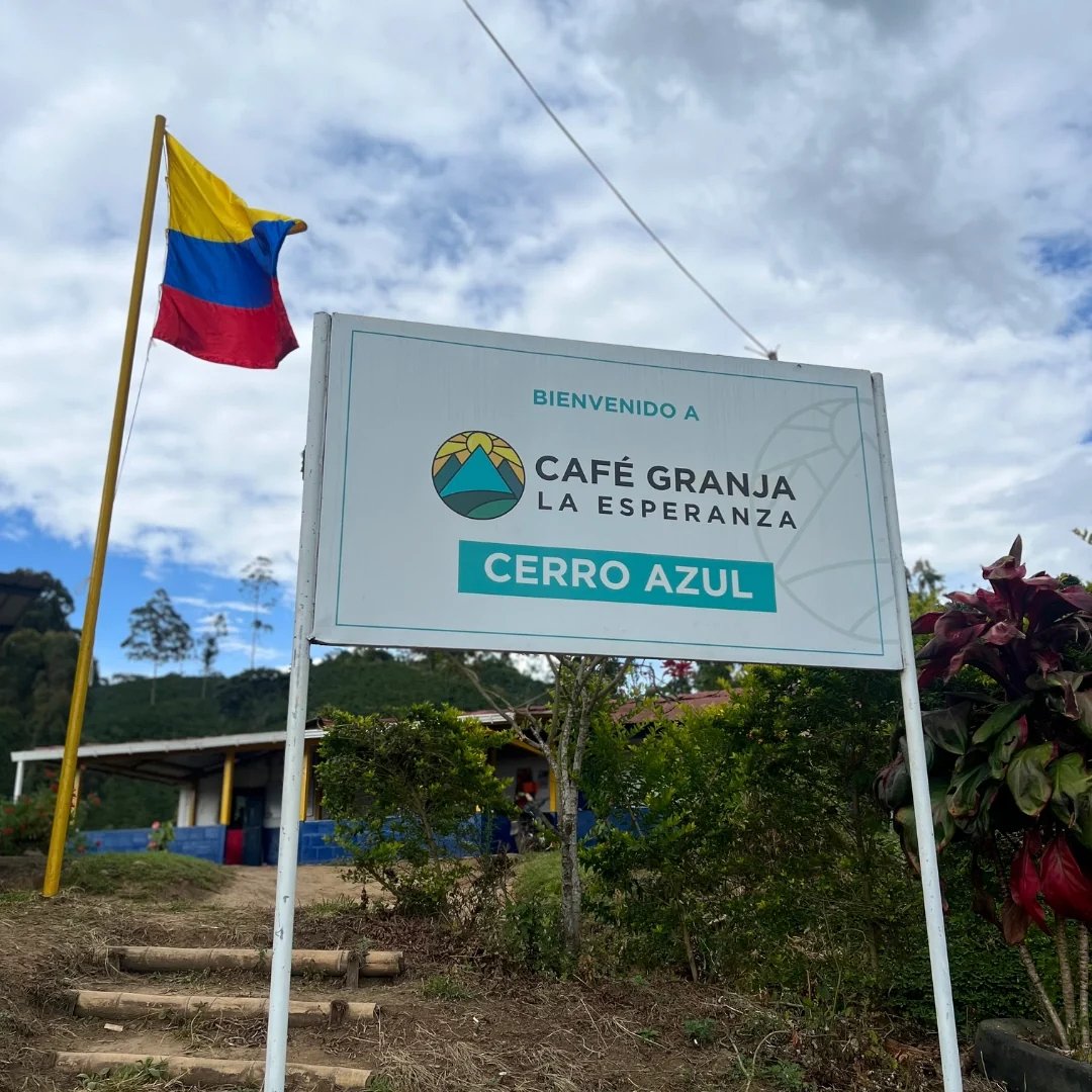 Colombia - CGLE Cerro Azul - Geisha Natural