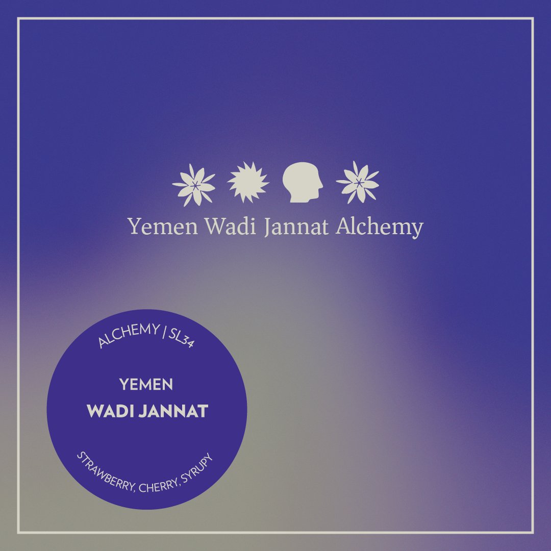 Yemen - Wadi Jannat - Alchemy SL34