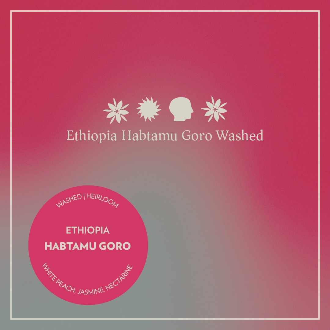 Ethiopia - Hambatu Goro - Washed Heirloom