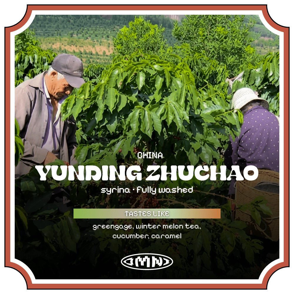 Yunding Zhuchao