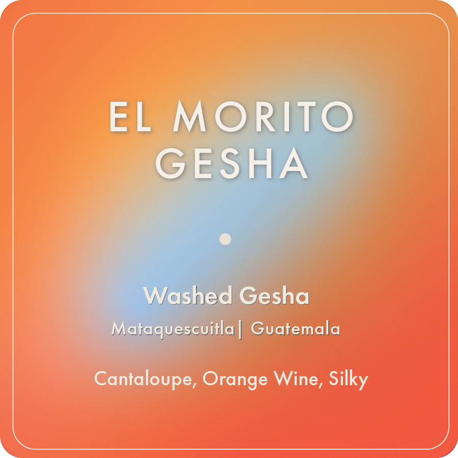 El Morito Gesha