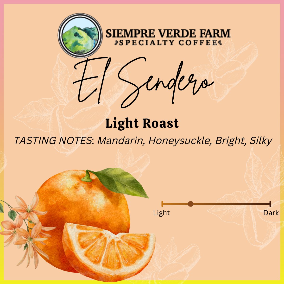 El Sendero - Light Roast