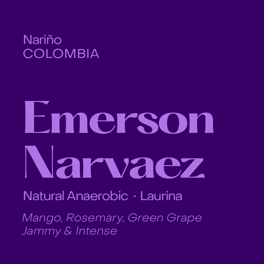 Colombia Emerson Narvaez, Natural Anaerobic Laurina (Low Caffeine)