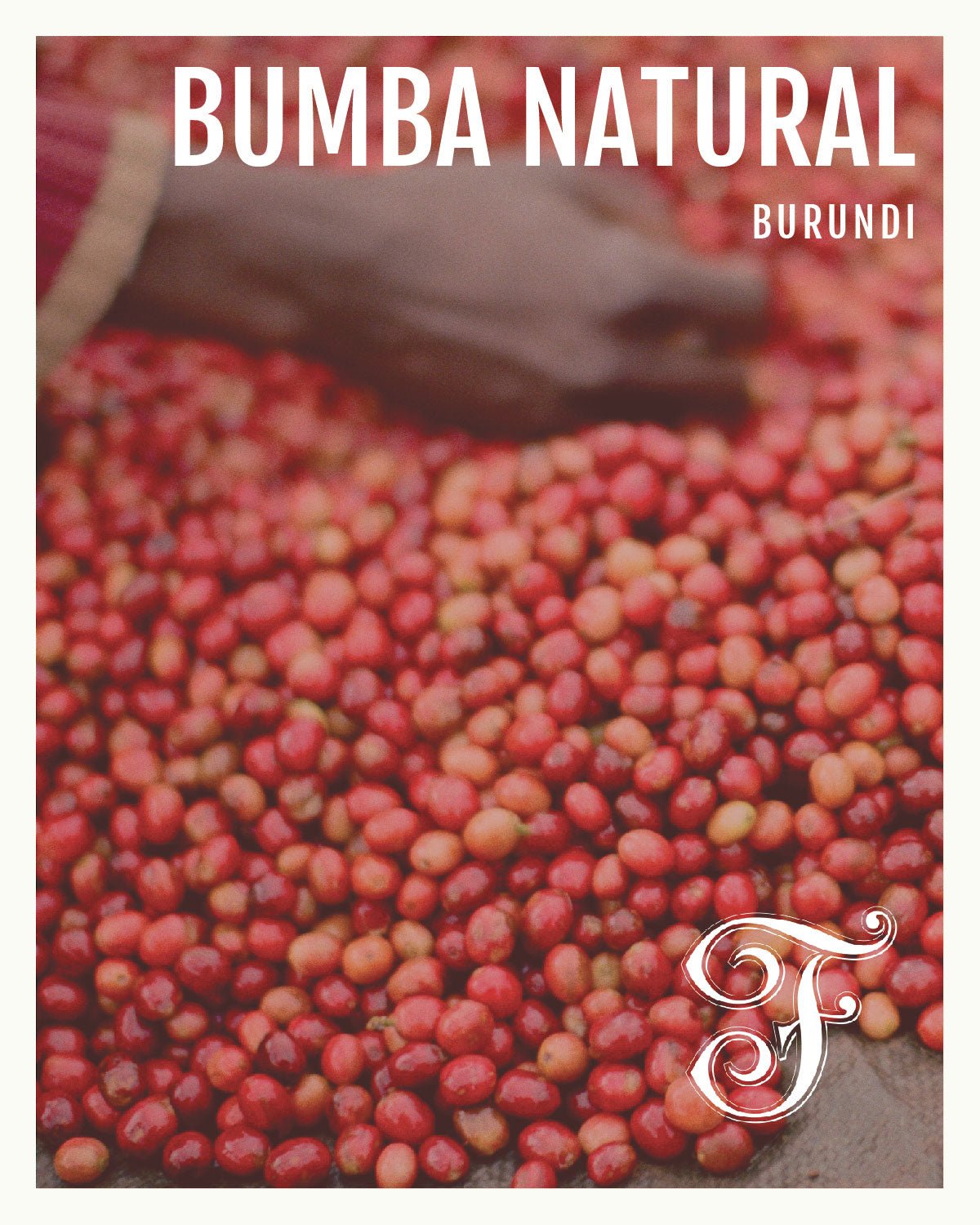 Burundi Bumba Hill Natural