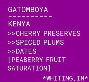 Gatomboya