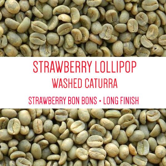 Strawberry Lollipop - Caturra Washed - Green Beans