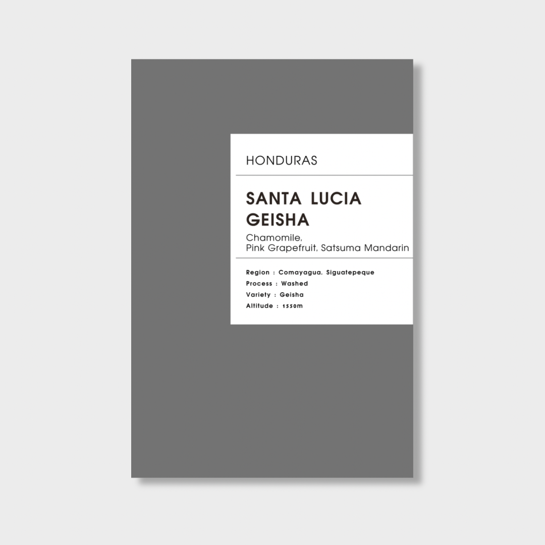 【 Honduras 】Santa Lucia Geisha / WH JP
