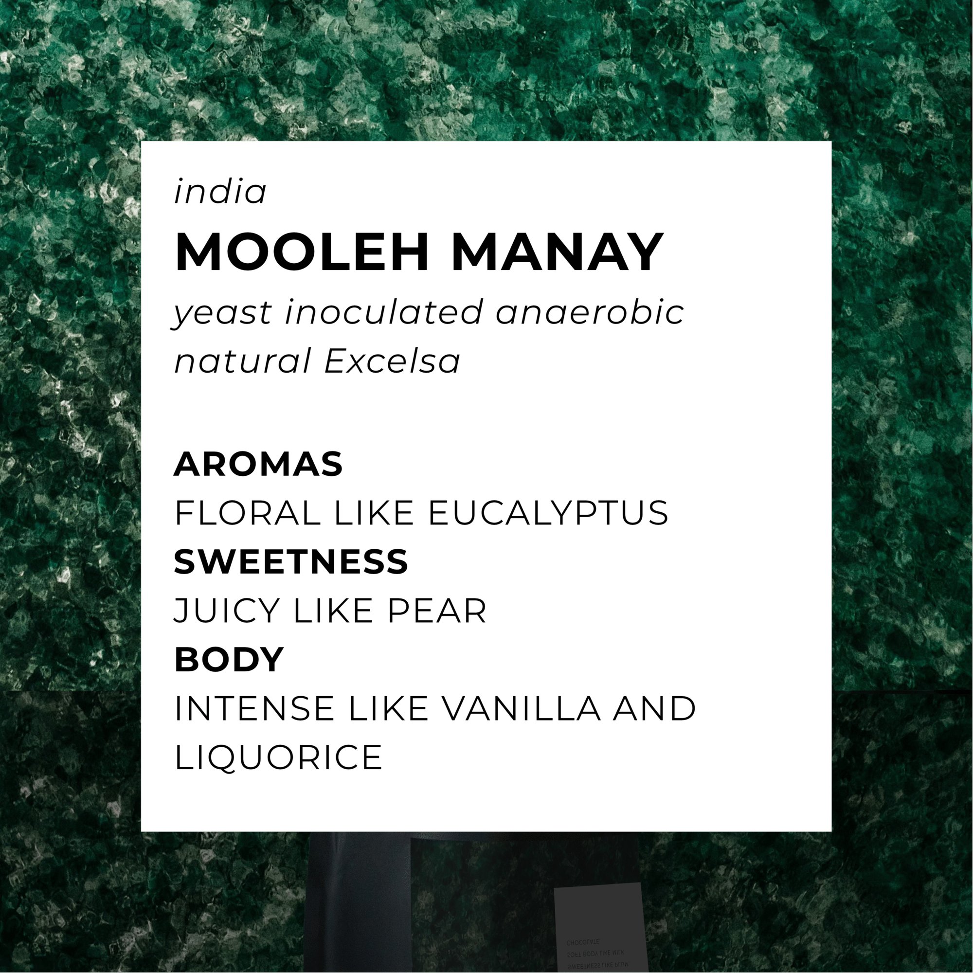 Mooleh Manay Excelsa