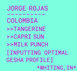 Jorge Rojas