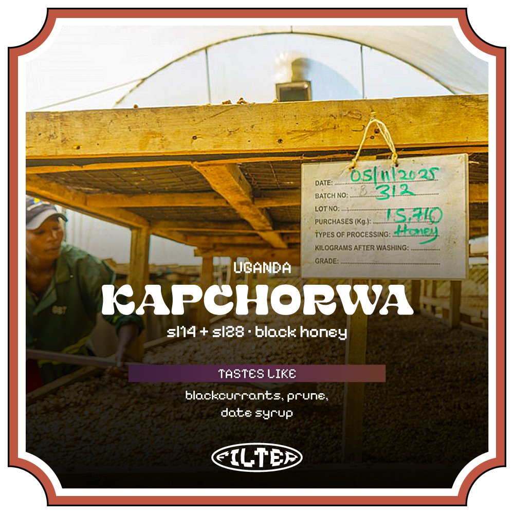 Kapchorwa