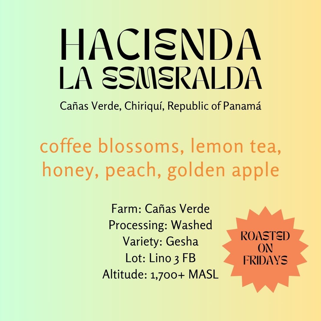 Hacienda La Esmeralda Washed Gesha Especial Lino 3 FB