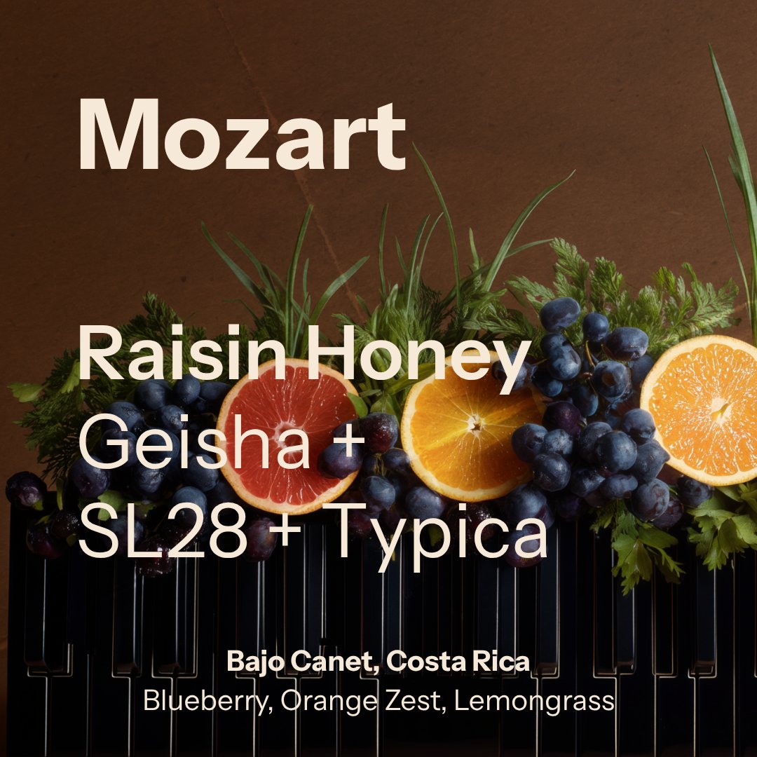 Mozart - Tarrazu (Costa Rica)