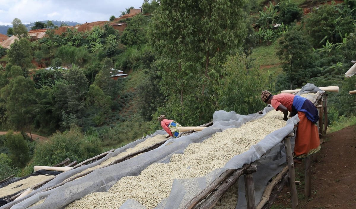 Masenga Hill, Burundi