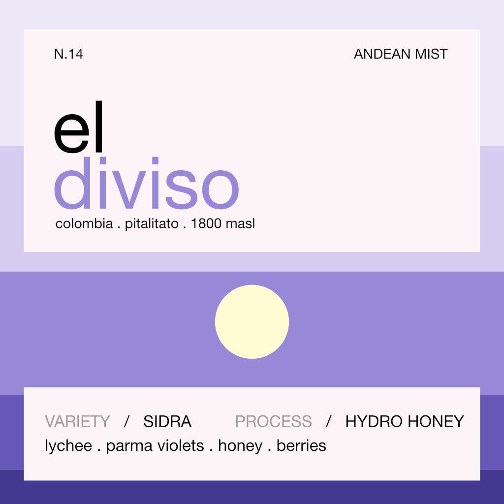 el diviso sidra