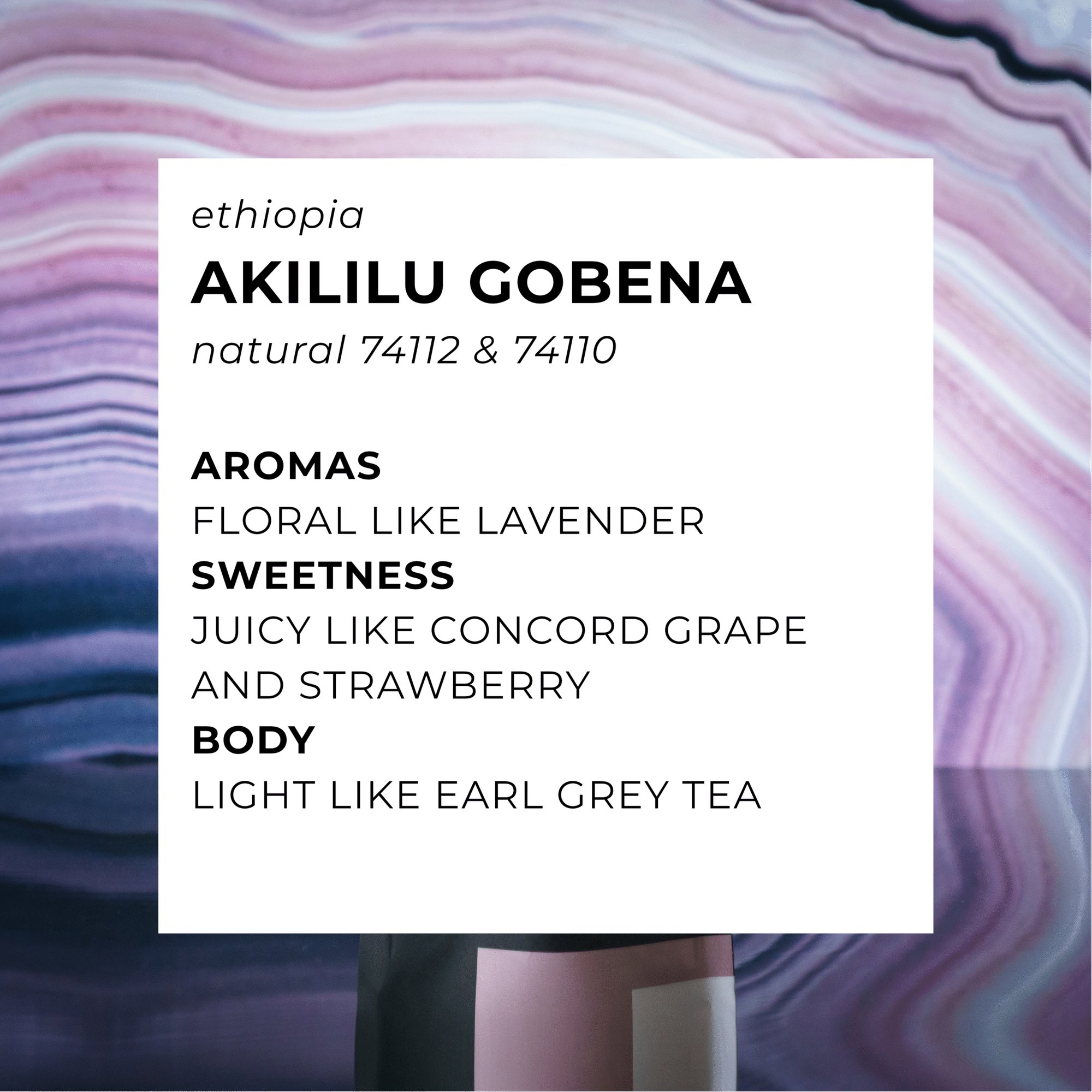 Akililu Gobena