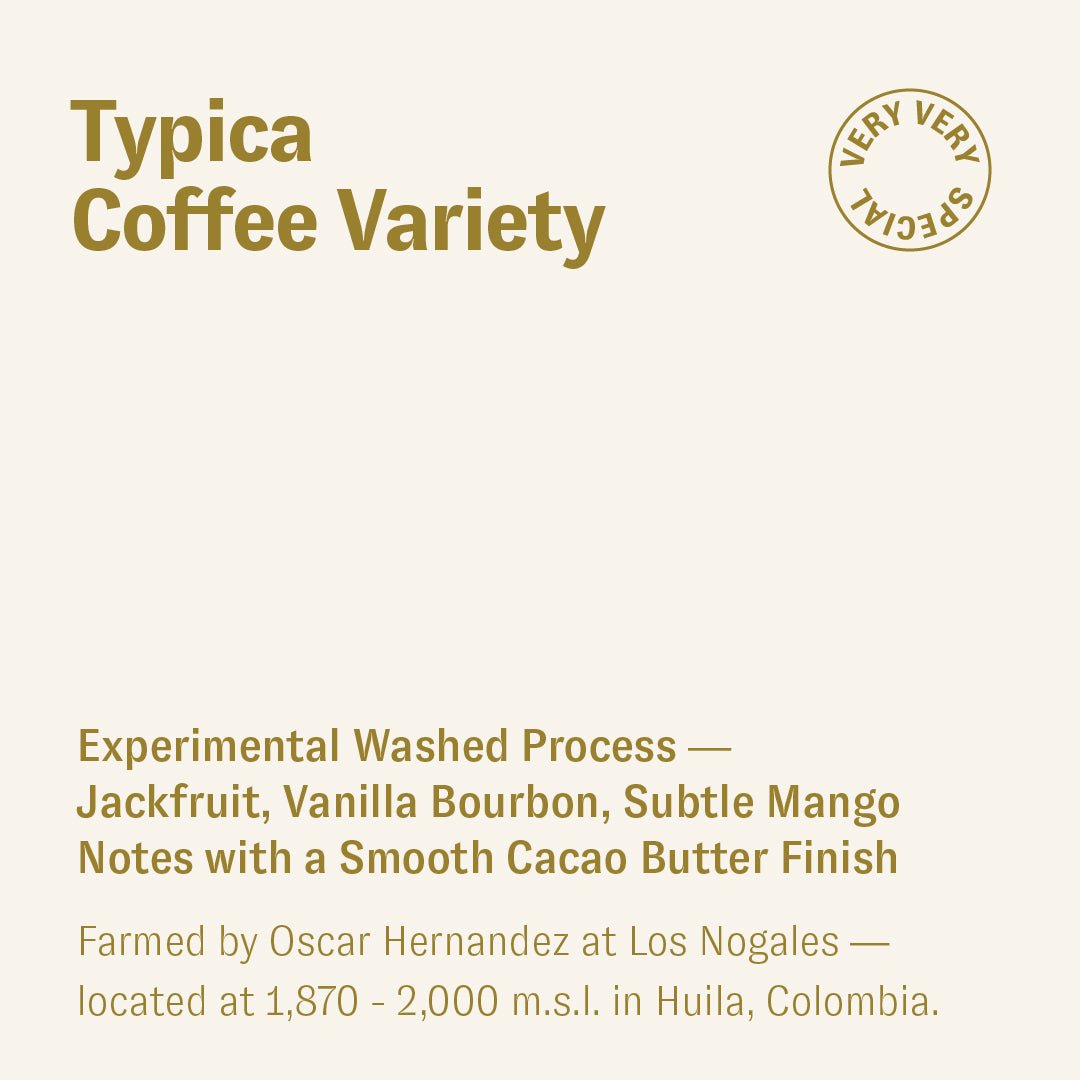Typica, Oscar Hernandez, Colombia
