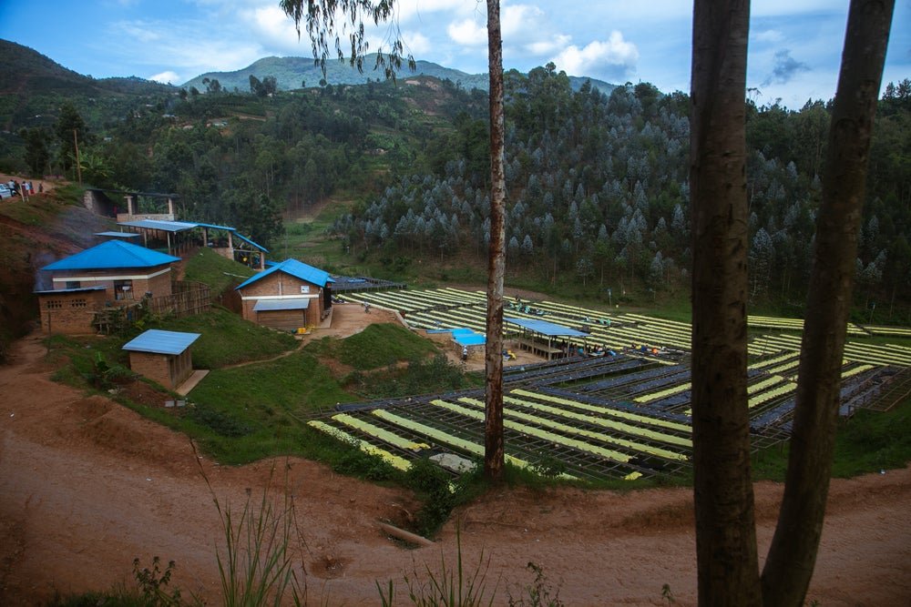 Rwanda Karambi Natural ESPRESSO