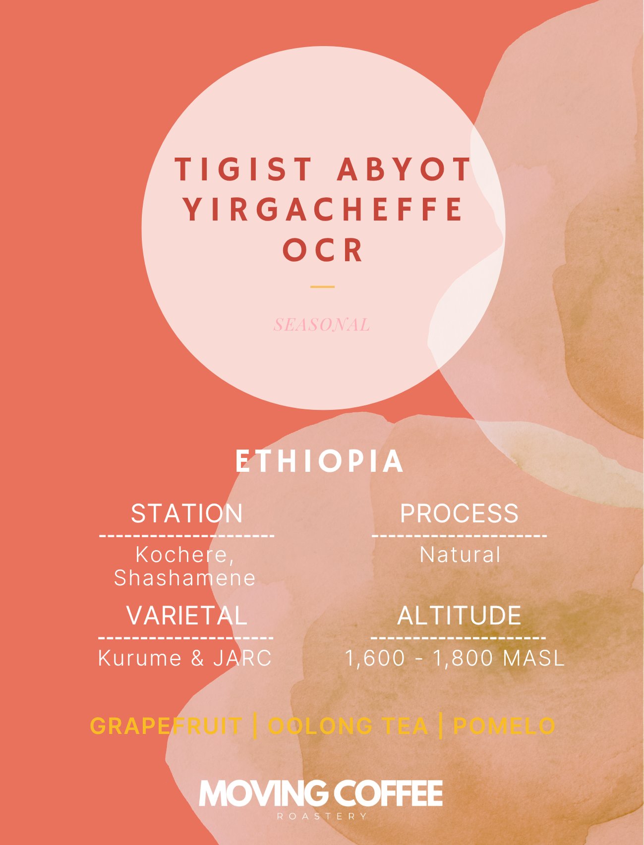 Tigist Abyot Yirgacheffe OCR