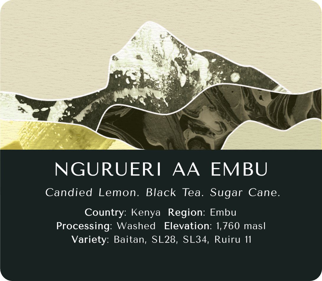 Ngurueri (Washed) - Kenya