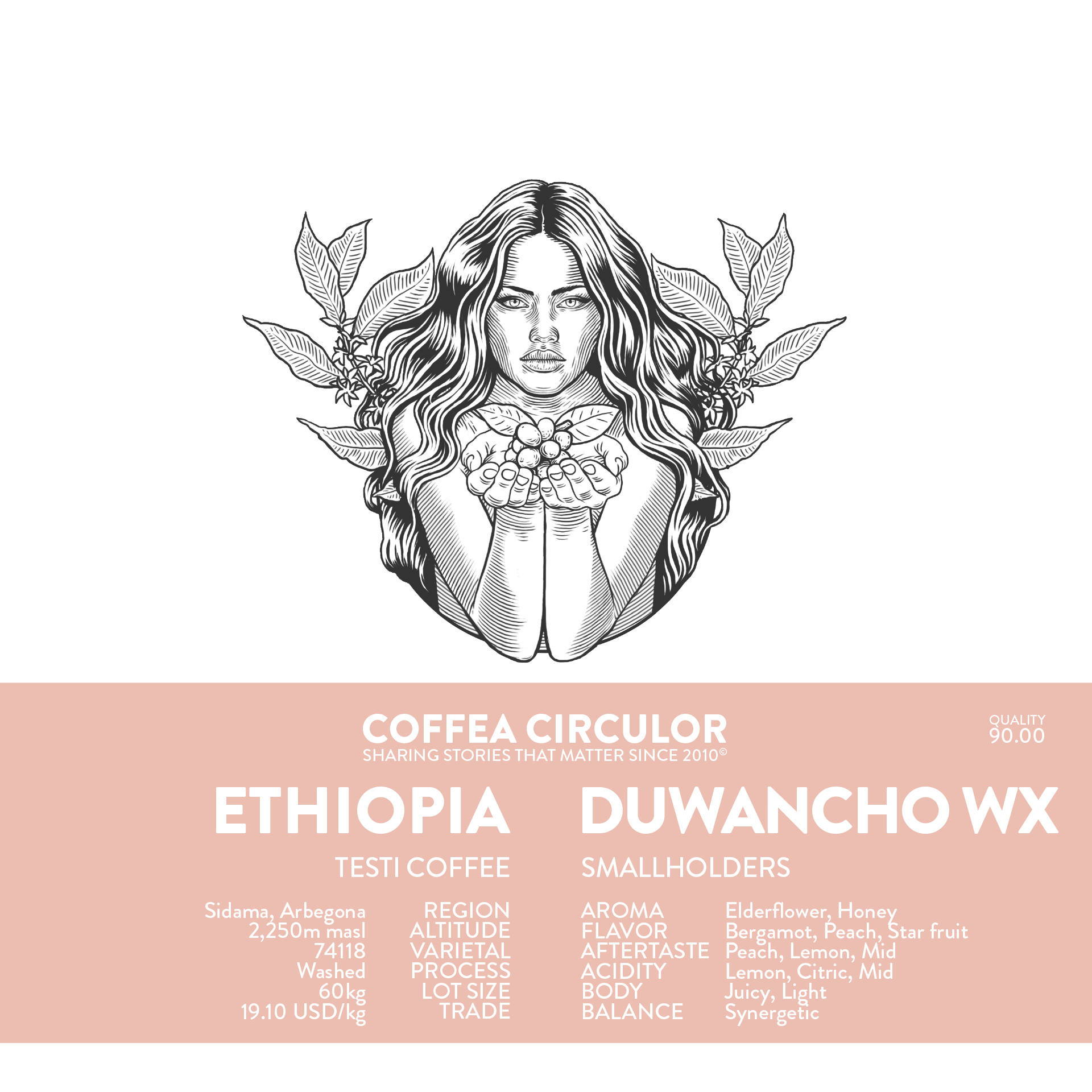 ETHIOPIA Duwancho Washed WX