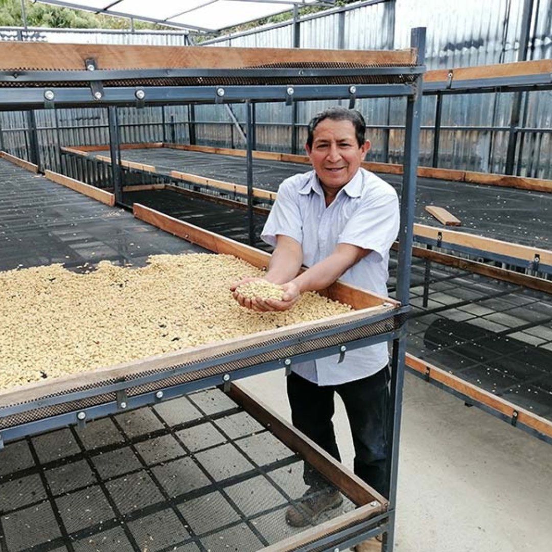 Peru La Lucuma Geisha Washed CoE 2023 #2