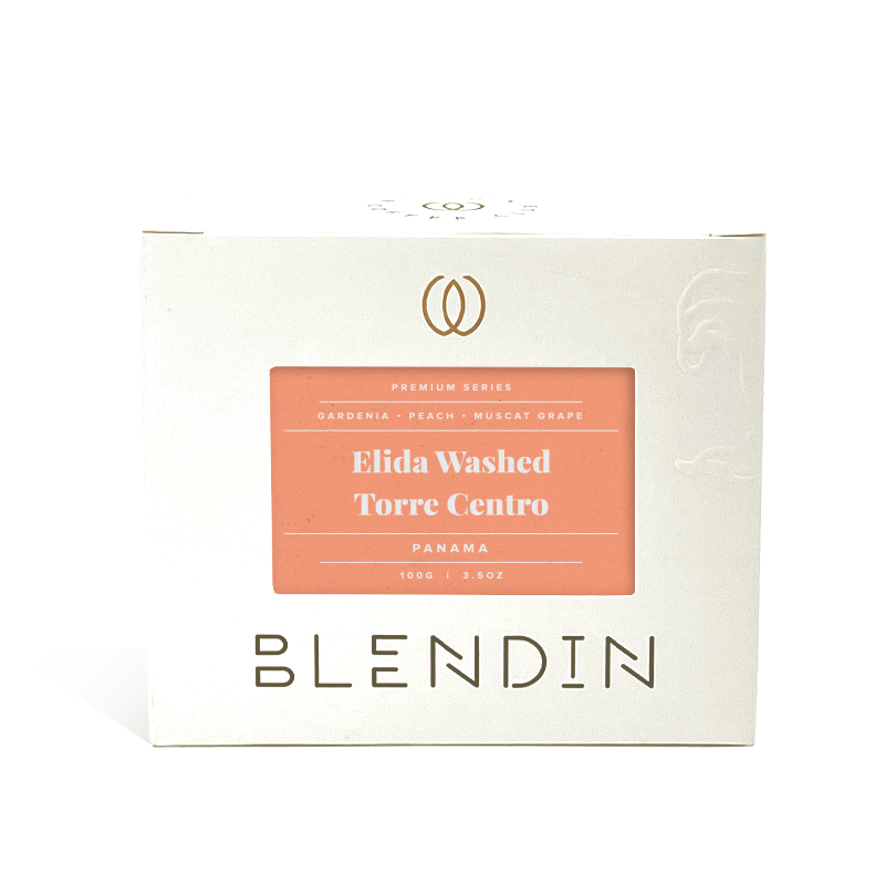 Elida Washed Torre Centro