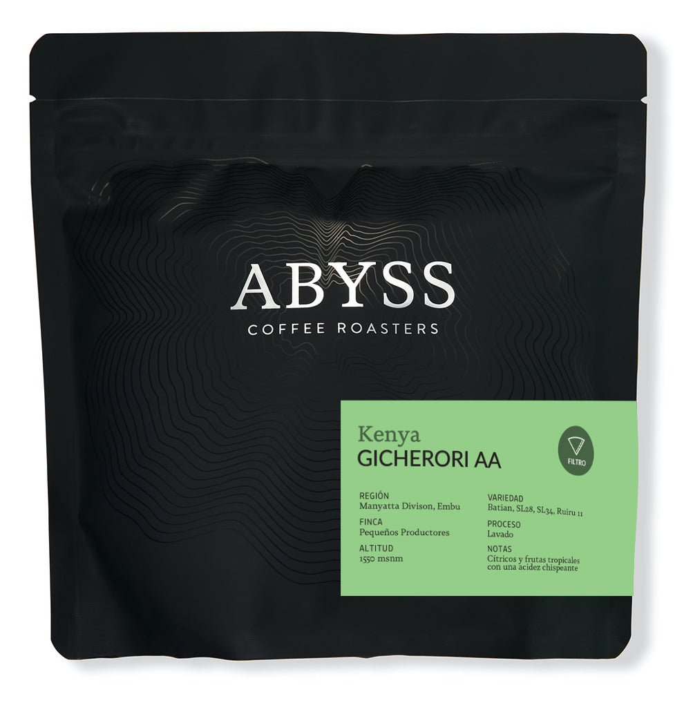 Gicherori AA Filter