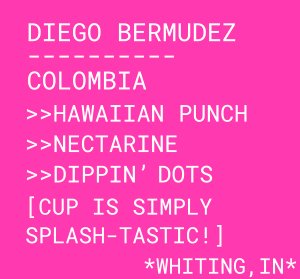 Diego Bermudez