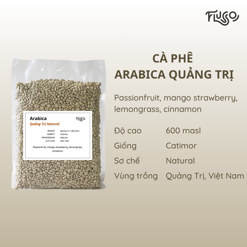 Arabica Quảng Trị Natural (Green)