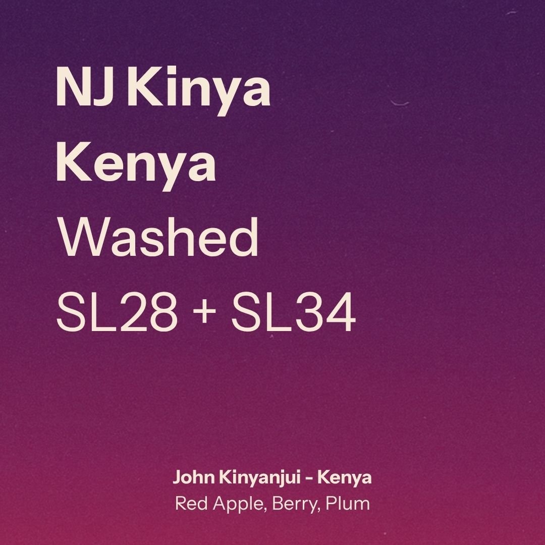 NJ Kinya Farm - John Kinyanjui (Kenya)