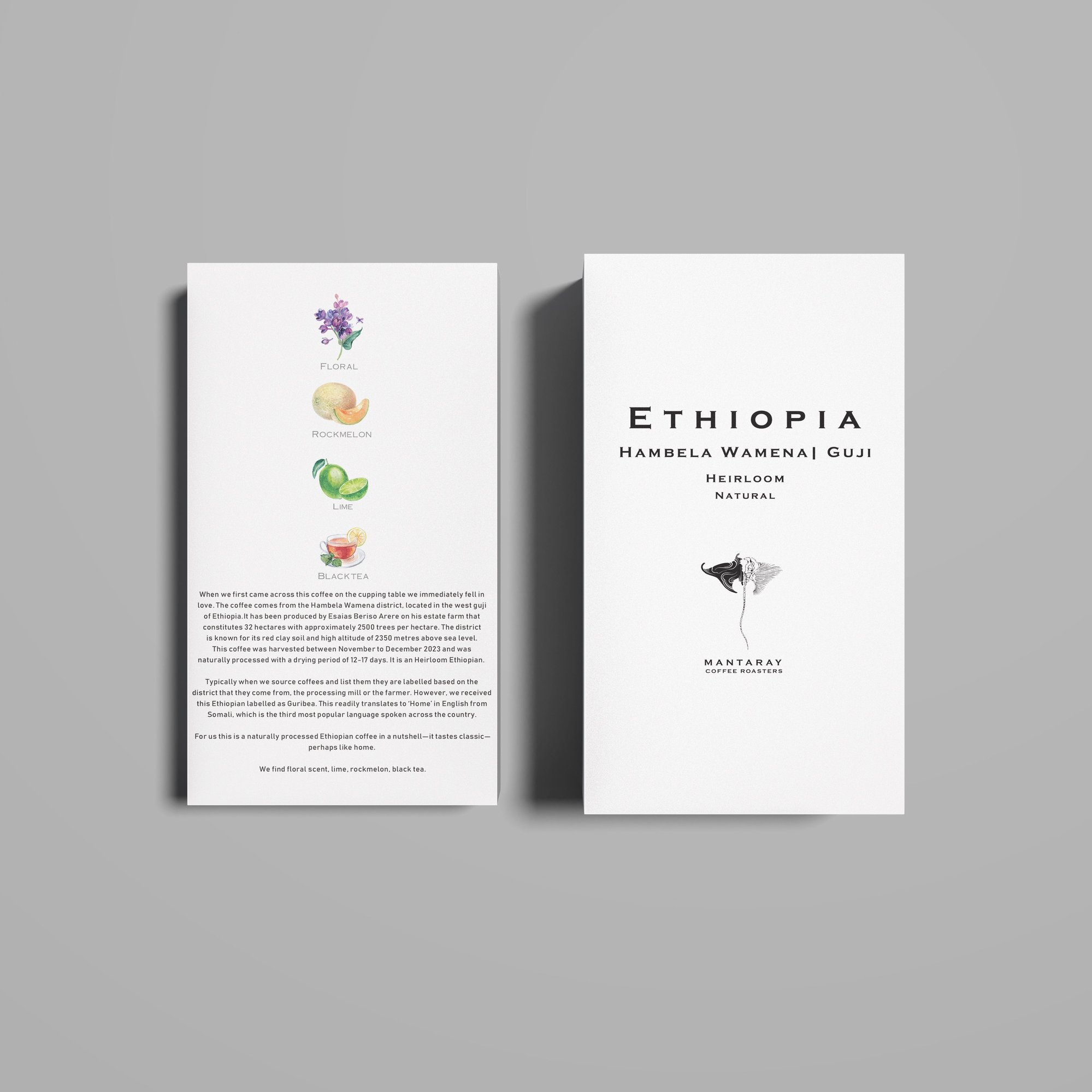 Ethiopia Hambela Wamena | West Guji washed (Single Origin Filter)