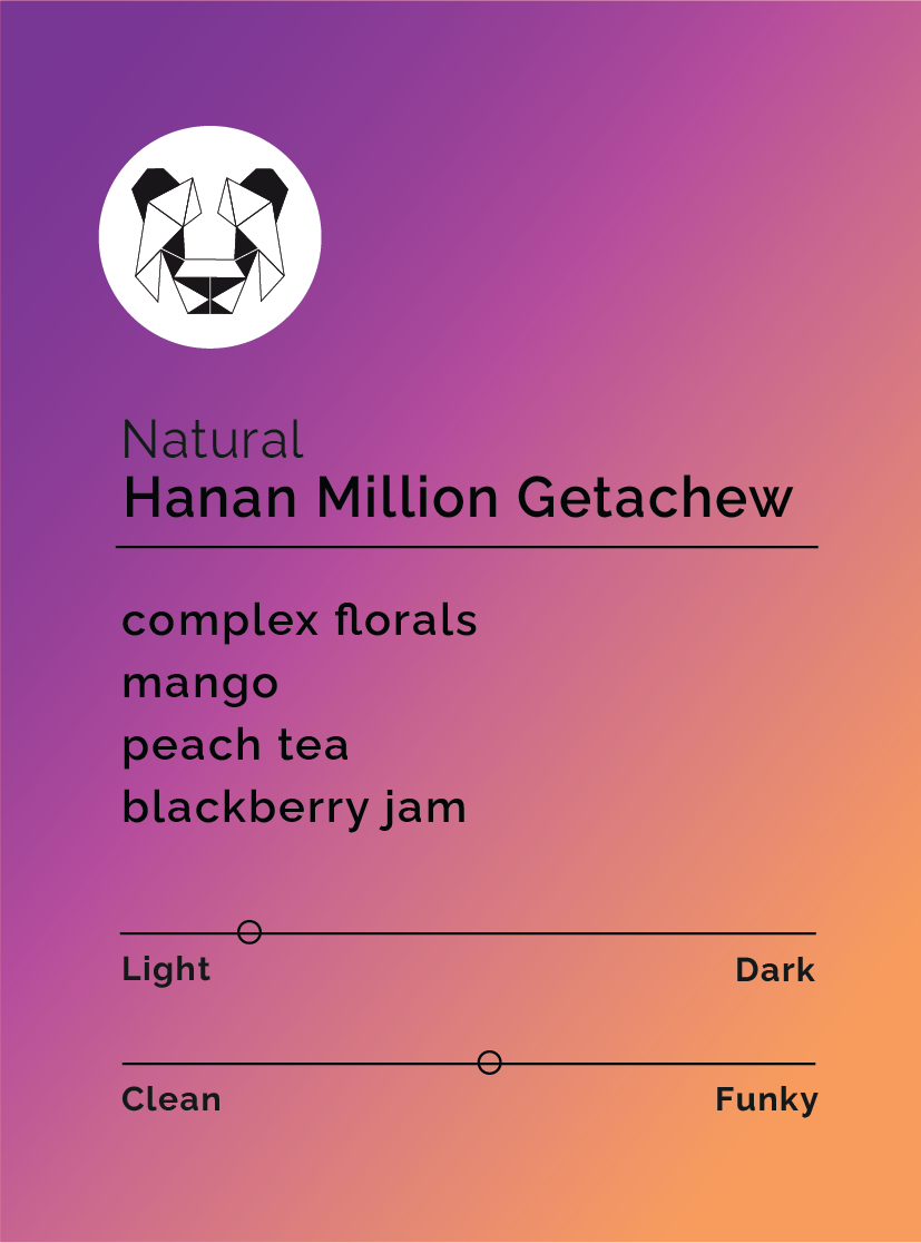 Hanan Million Getachew - Natural