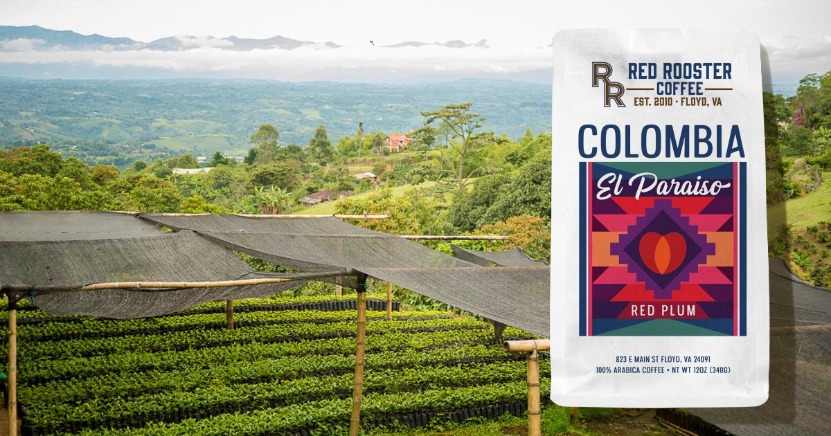 Colombia El Paraiso Red Plum