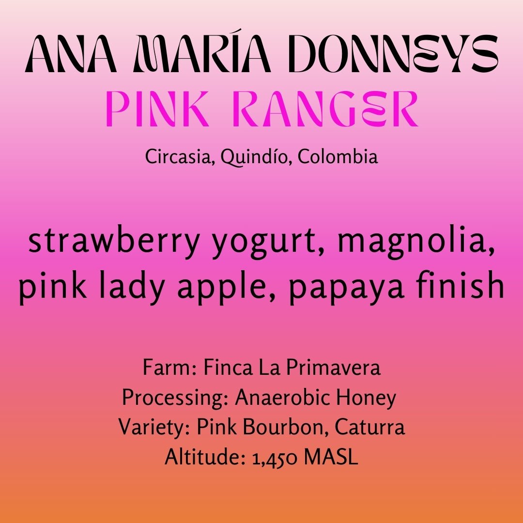 Ana María Donneys, Pink Ranger Honey Pink Bourbon & Caturra - Colombia