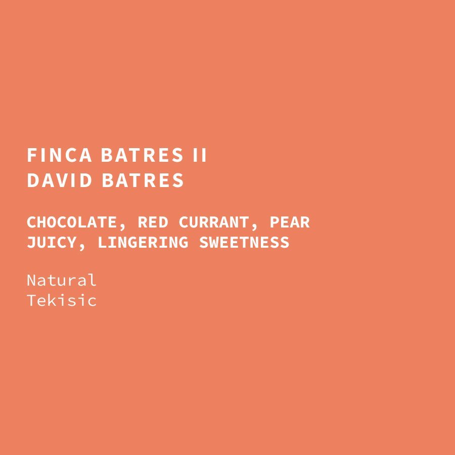 Guatemala Finca Batres Natural Tekisic