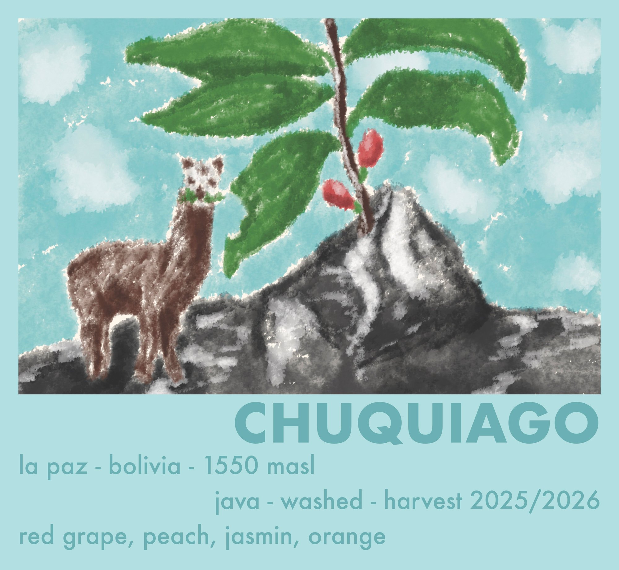 Bolivien Chuquiago