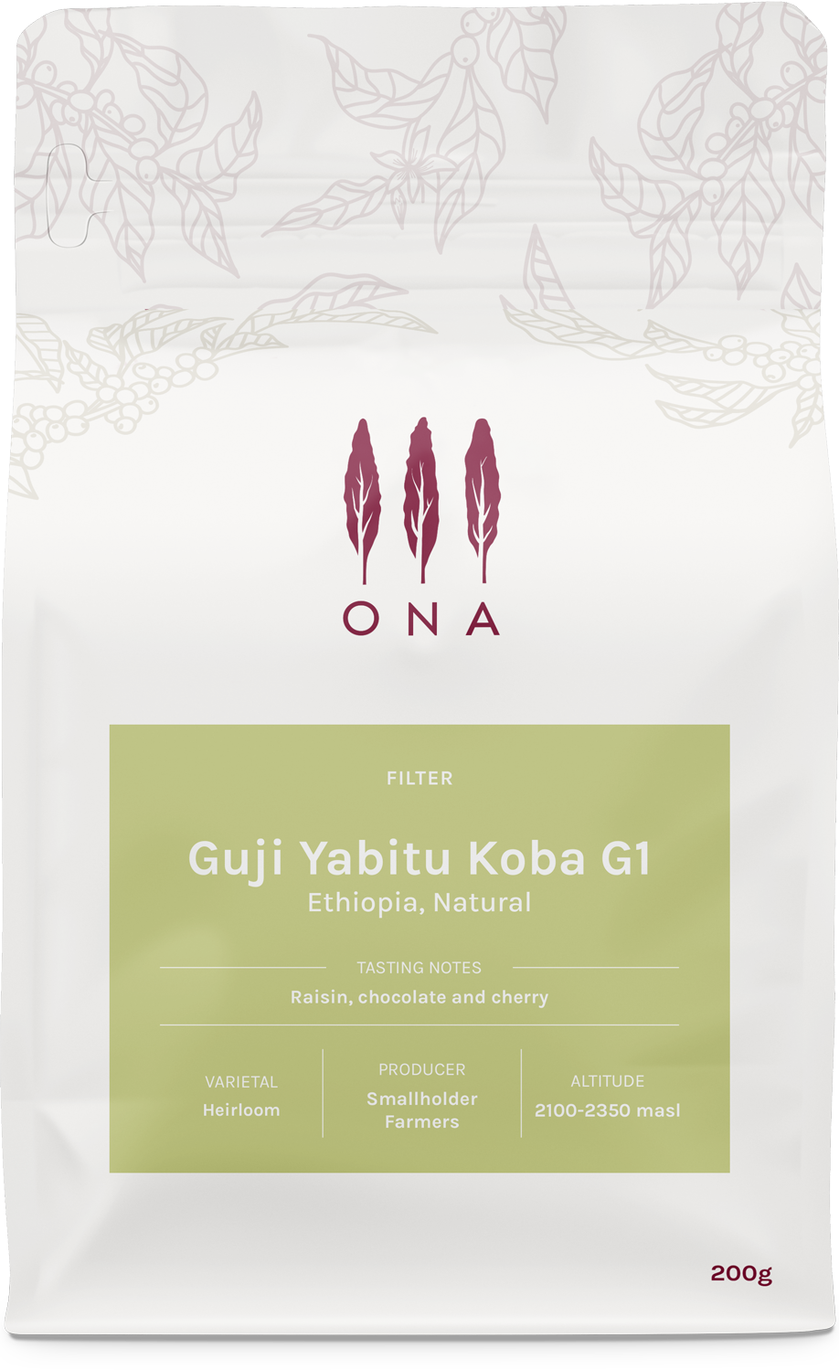 Guji Yabitu Koba G1, Ethiopia, Natural