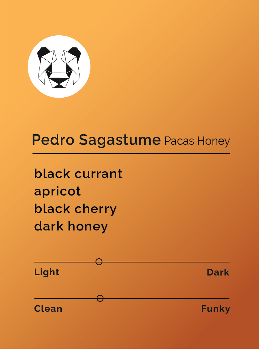 Pedro Sagastume - Pacas Honey