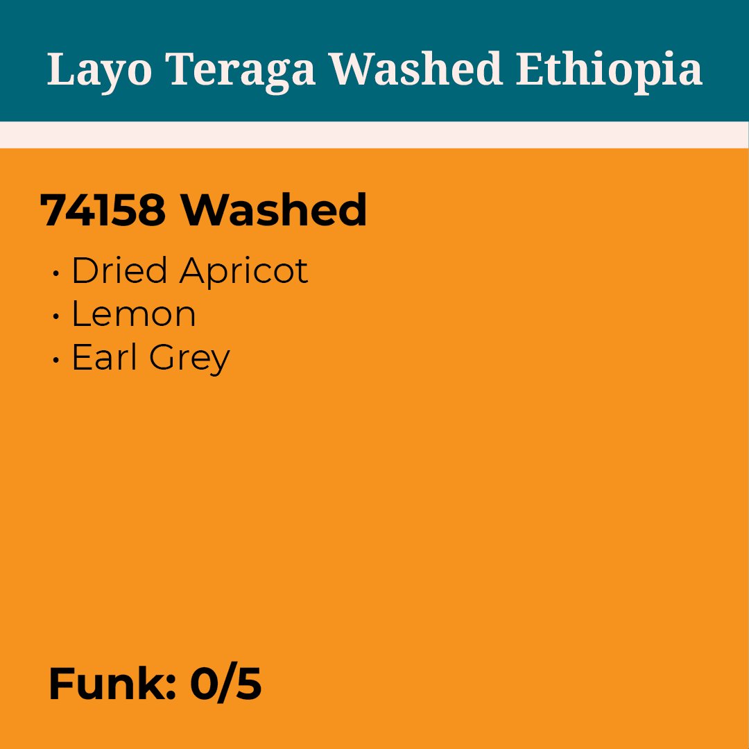 Layo Teraga Washed Ethiopia